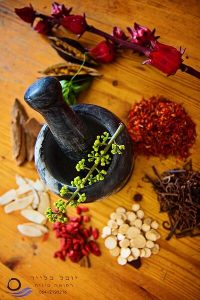 רפואה סינית תזונה